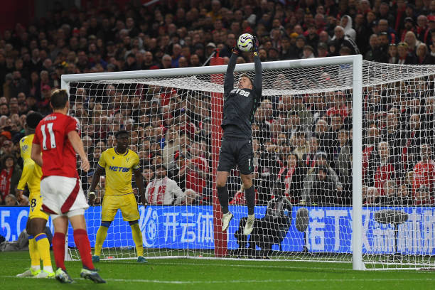 仅依靠亚历 仅依靠亚历