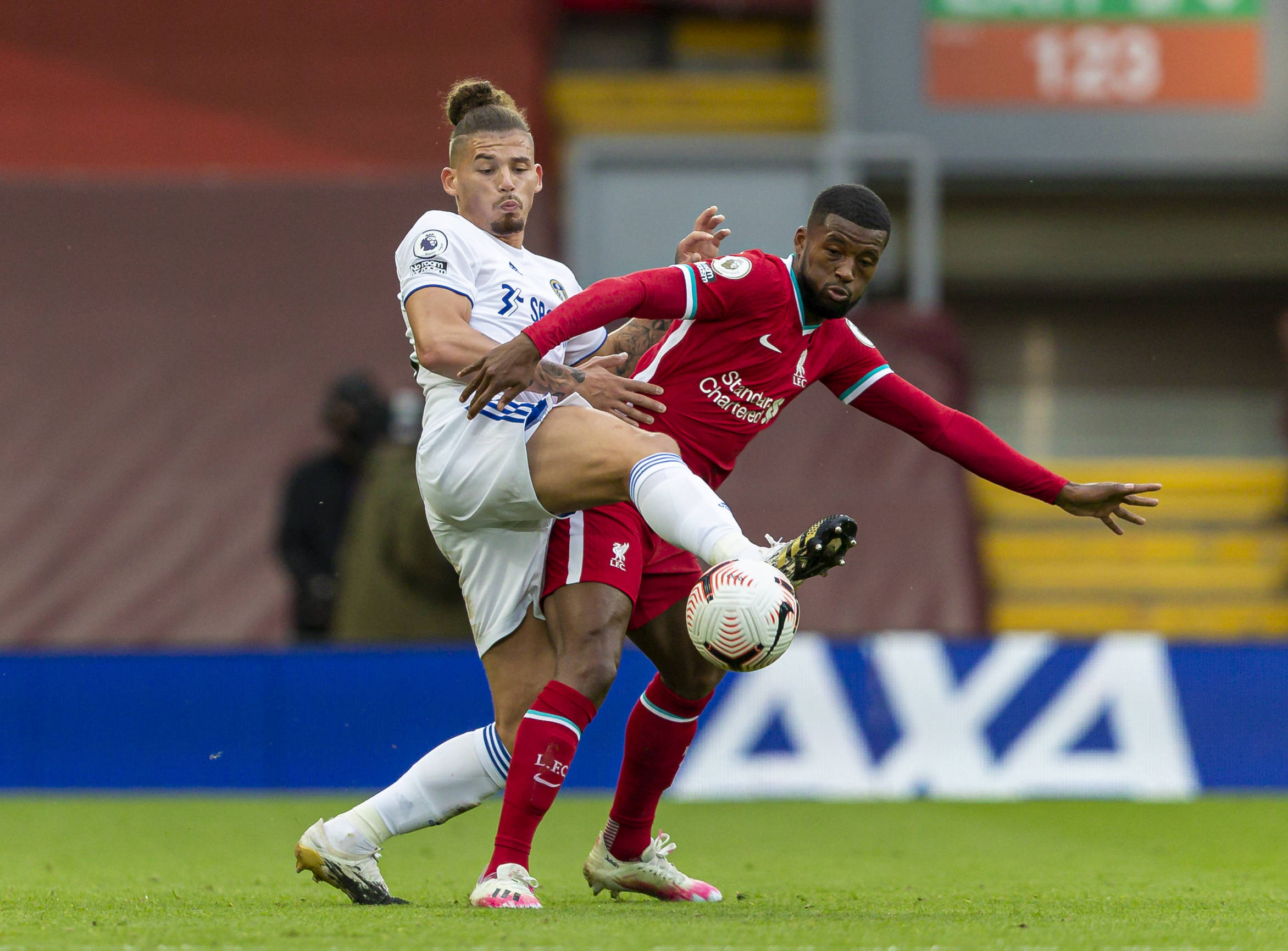 布将在今年 布将在今年