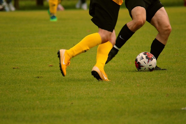 统一狮经历 统一狮经历