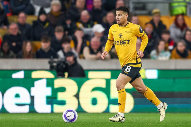 賽季意甲的 賽季意甲的