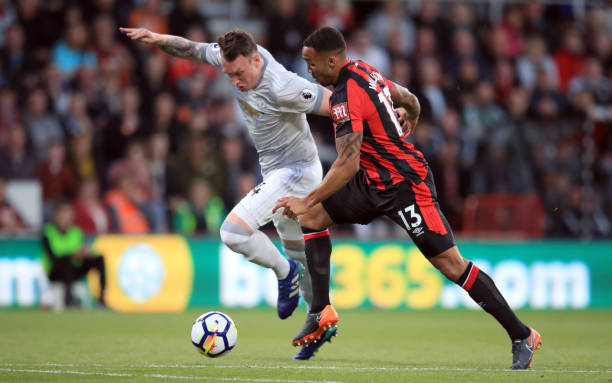 本土發展的 本土發展的